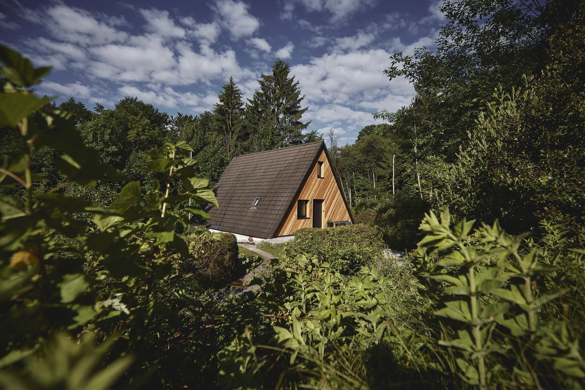 HAUS28 – Außenansicht durch den Wald