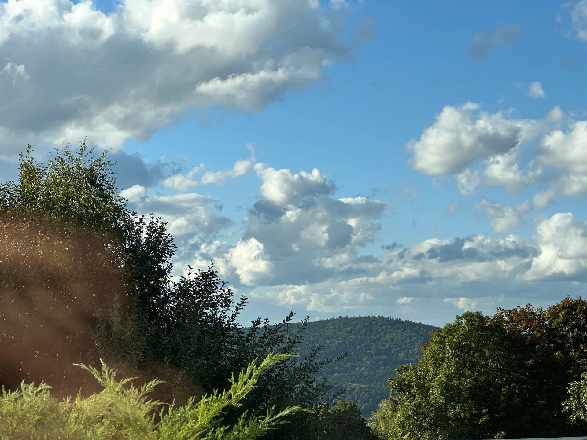 Apartment B6 – Ausblick Bayerischer Wald