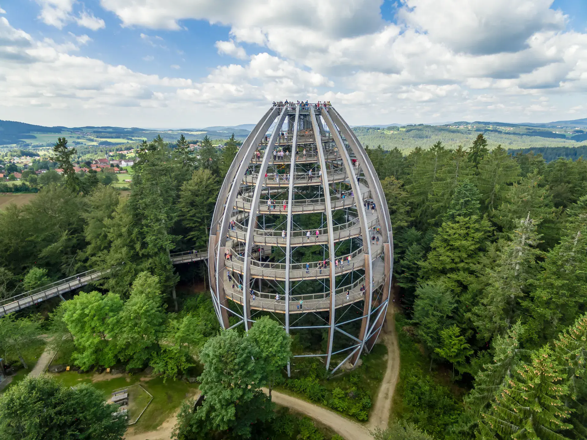 Der Aussichtsturm „Baumei“ des Baumwipfelpfads Bayerischer Wald von oben, umgeben von Wald