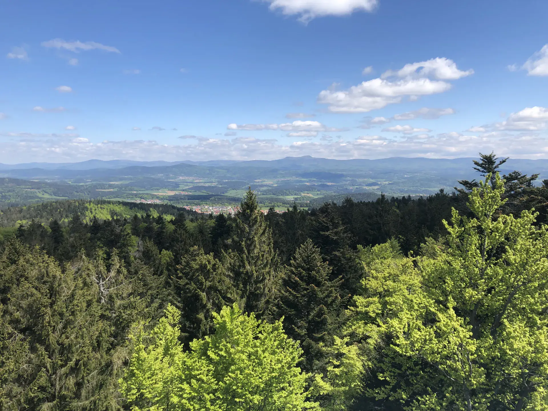 Blick vom Aussichtsturm am Brotjacklriegel über die Wälder und Höhen des Bayerischen Waldes