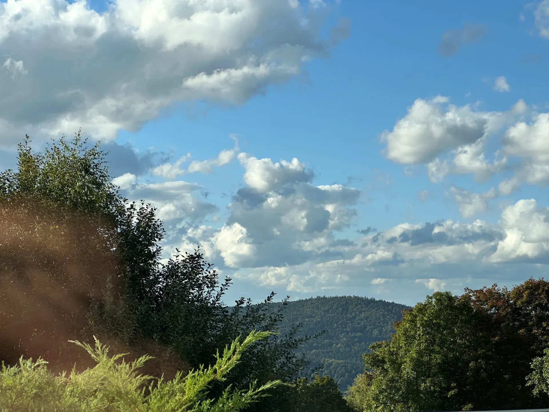 Apartment B6 – View of the Bavarian Forest